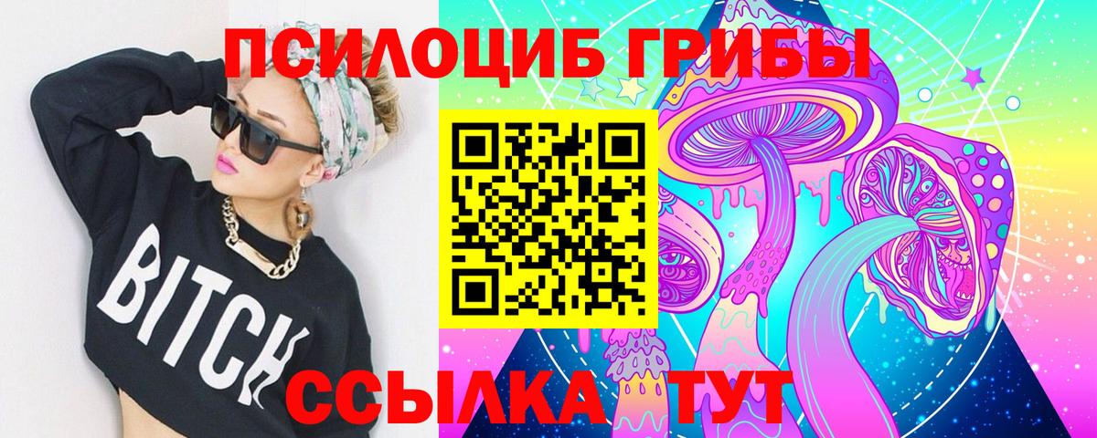 Псилоцибиновые грибы Psilocybe Волгоград