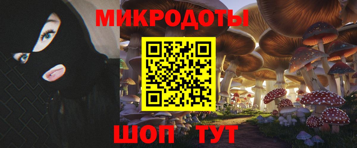 где купить наркотик  Вход с VPN  Волгоград  Псилоцибиновые грибы Psilocybe  Псилоцибиновые грибы MAGIC MUSHROOMS 